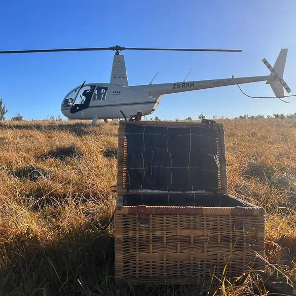 Helipilot helicopter training and scenic flight photo 7